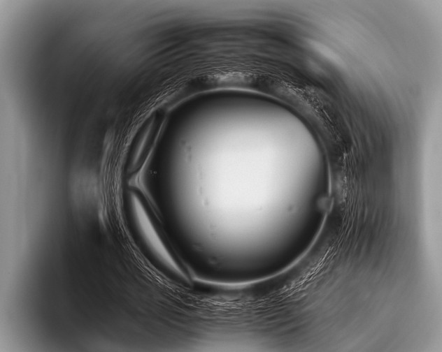 X0000096980725200802081407