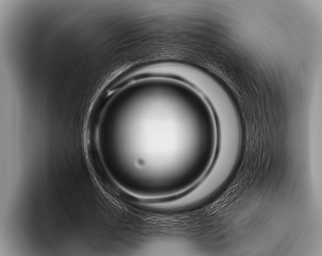 X0000096980726200802081407