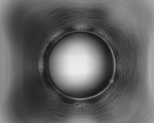 X0000096980727200802081407