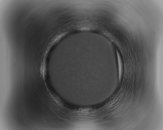 X0000096980728200802081407