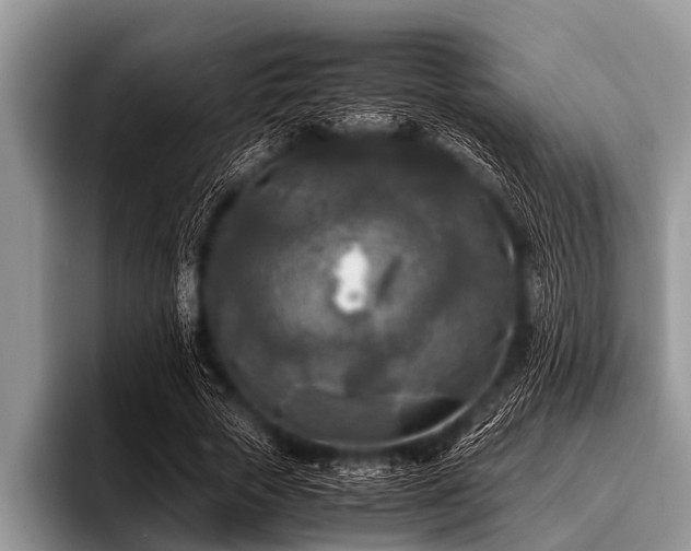 X0000096980729200802081407