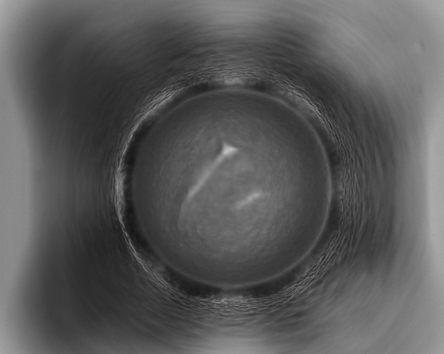 X0000096980730200802081407