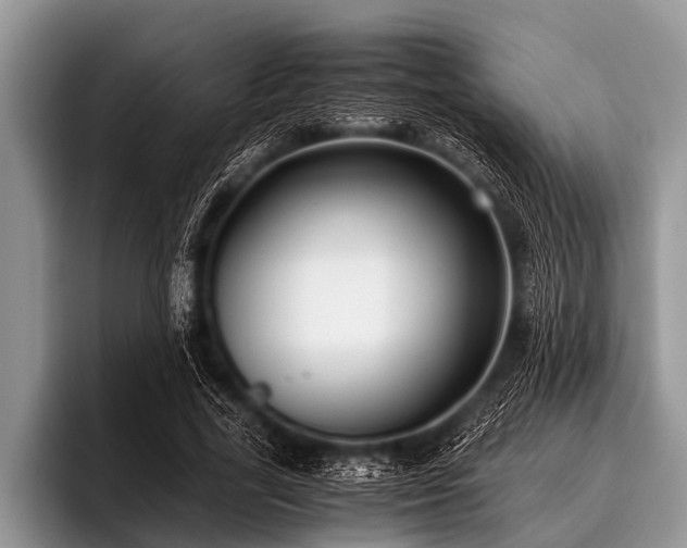 X0000096980731200802081407