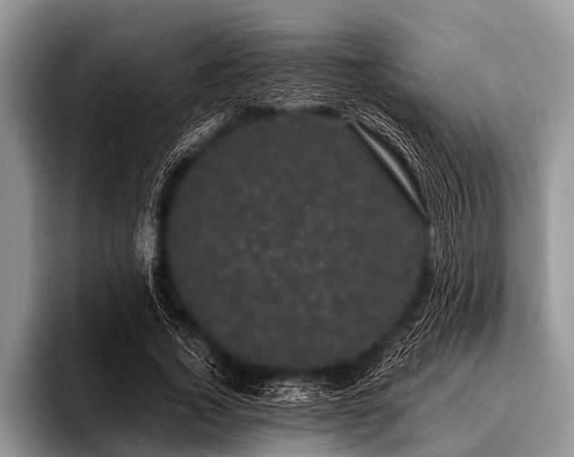 X0000096980732200802081407