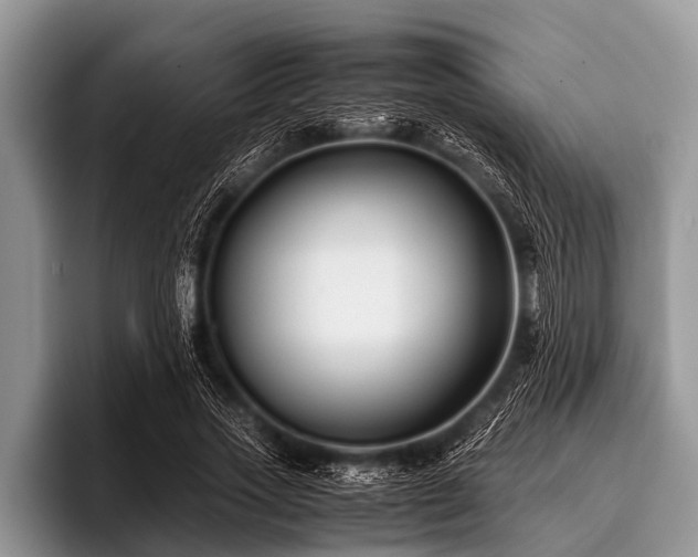 X0000096980733200802081407