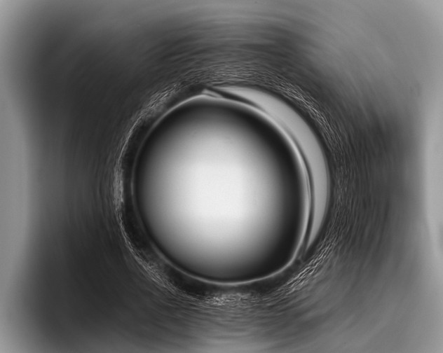 X0000096980734200802081407