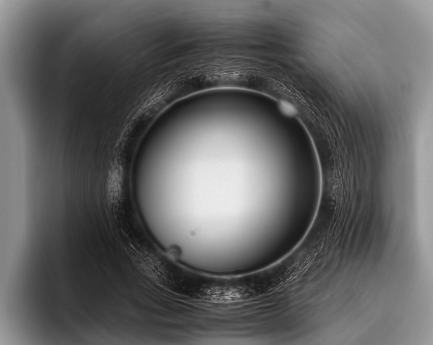 X0000096980735200802081407