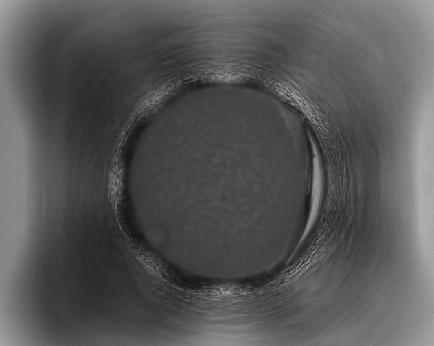 X0000096980736200802081407