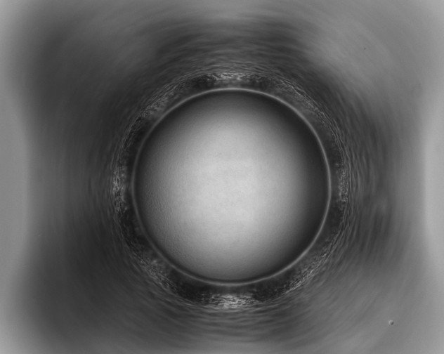 X0000096980737200802081407