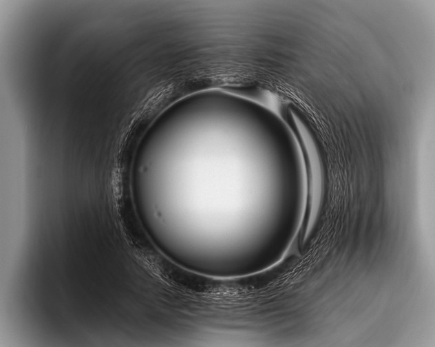 X0000096980738200802081407