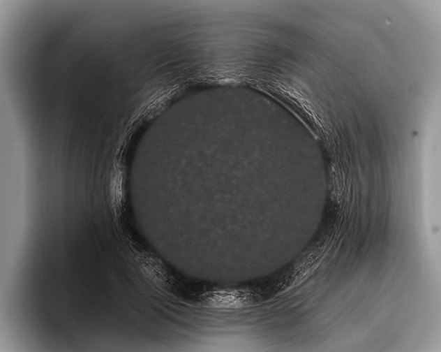 X0000096980740200802081407