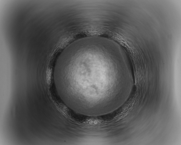 X0000096980742200802081407