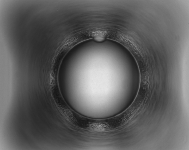 X0000096980743200802081407