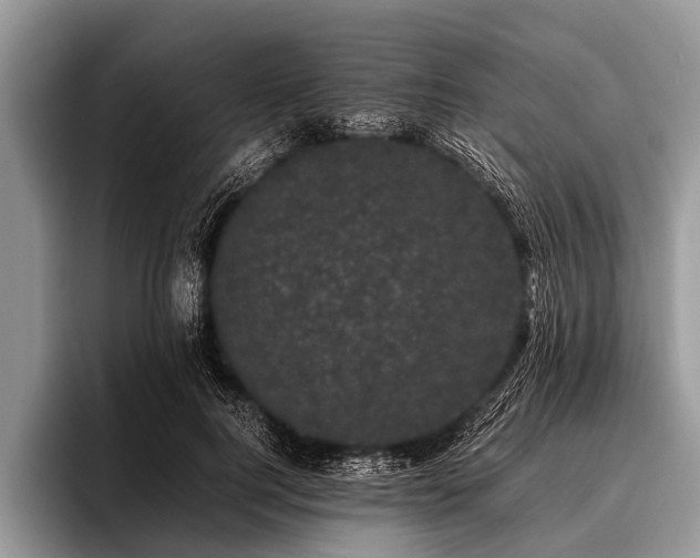 X0000096980744200802081407