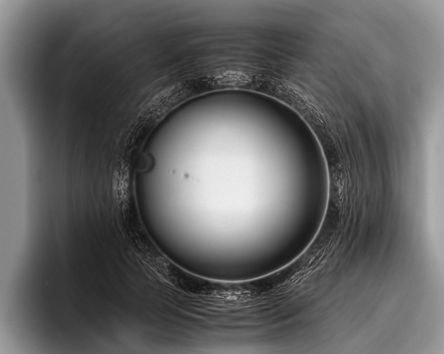 X0000096980745200802081407