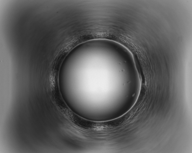 X0000096980746200802081407