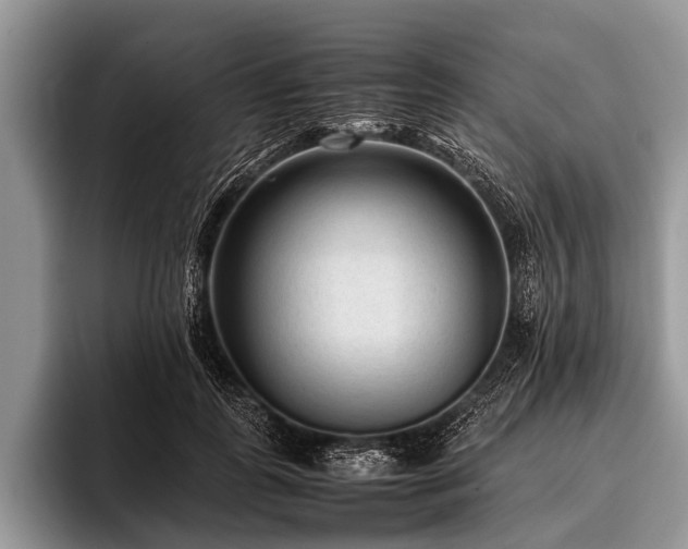 X0000096980747200802081407