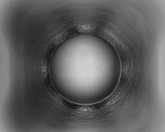 X0000096980749200802081407