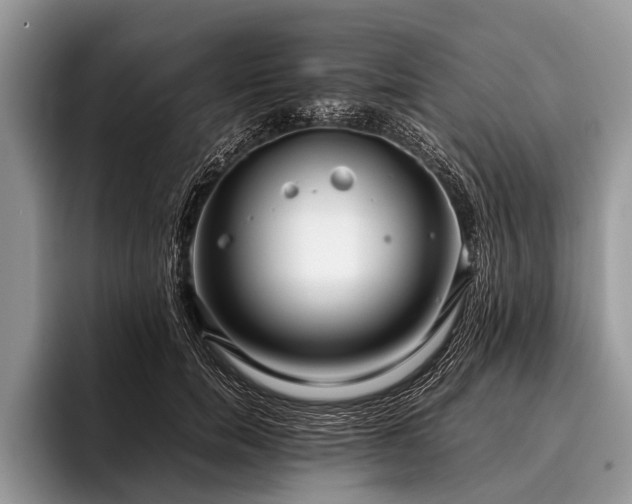 X0000096980750200802081407