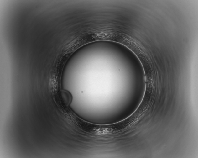 X0000096980751200802081407