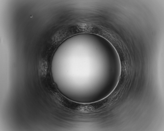 X0000096980752200802081407