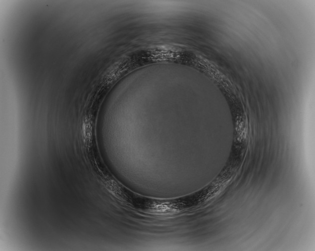 X0000096980753200802081407