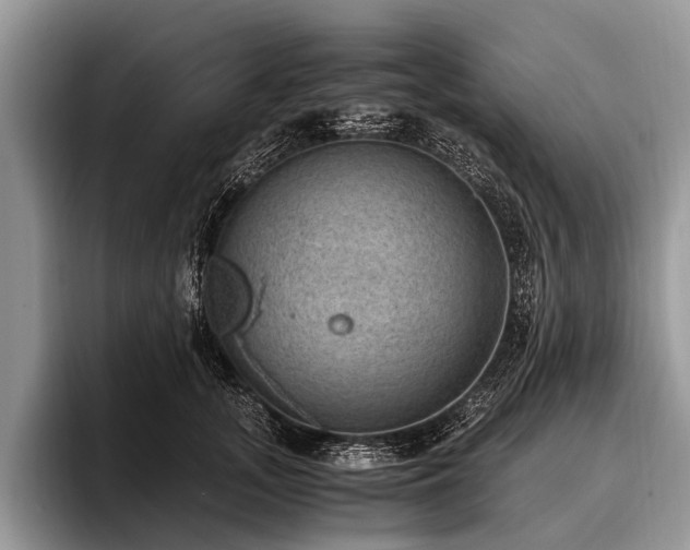 X0000096980755200802081407