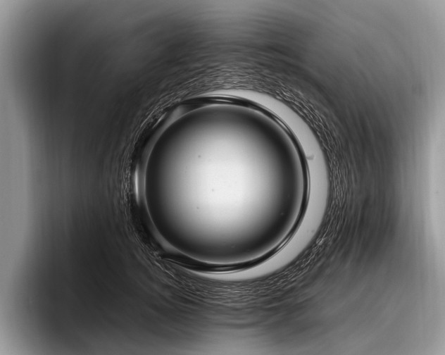 X0000096980756200802081407