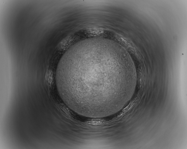 X0000096980758200802081407