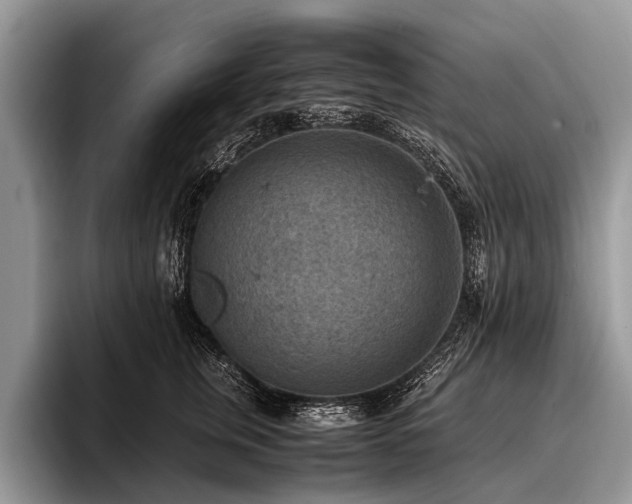 X0000096980759200802081407