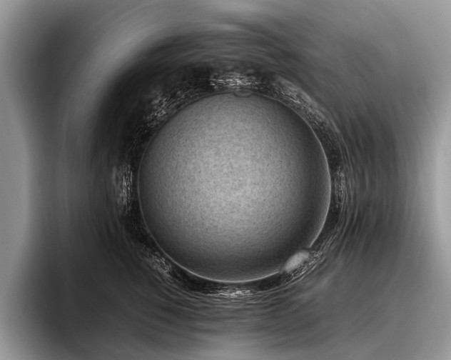 X0000096980760200802081407