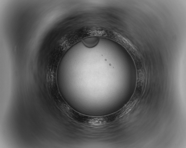 X0000096980761200802081407