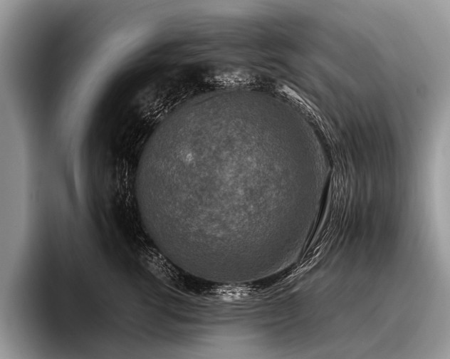 X0000096980762200802081407