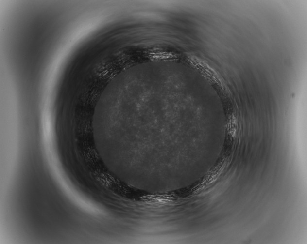 X0000096980763200802081407