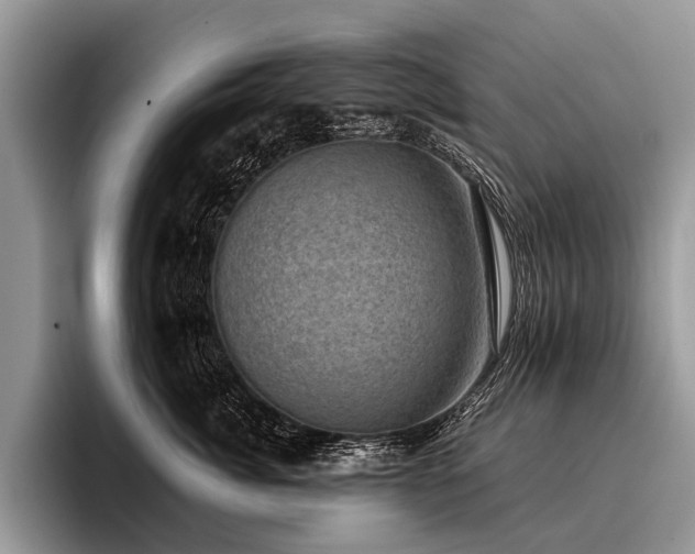 X0000096980764200802081407