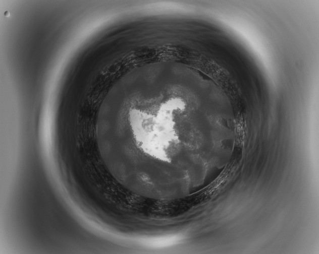 X0000096980765200802081407