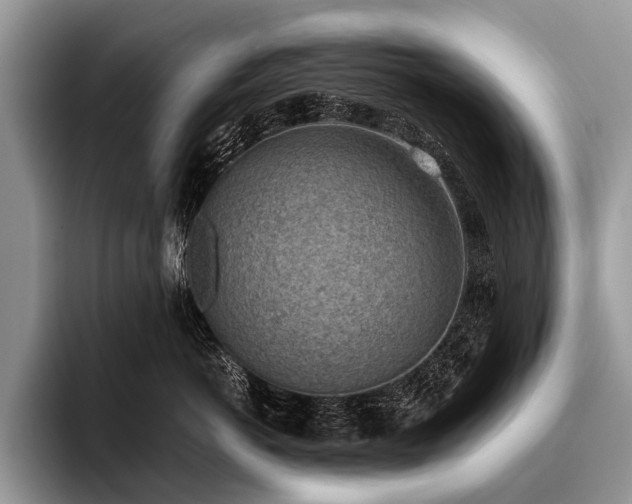 X0000096980766200802081407