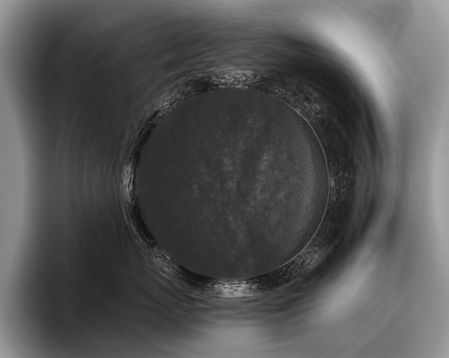 X0000096980767200802081407