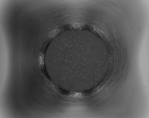 X0000096980768200802081407