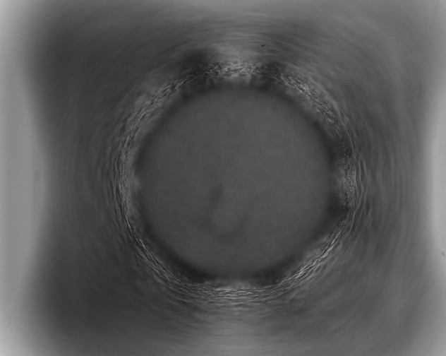 X0000096980769200802081407