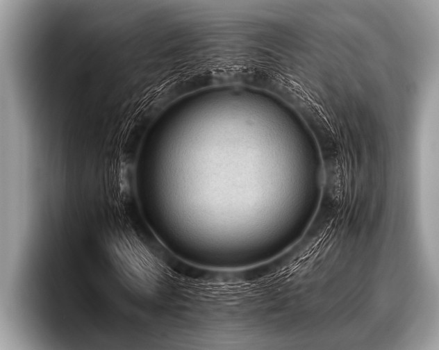 X0000096980770200802081407