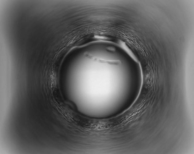 X0000096980772200802081407