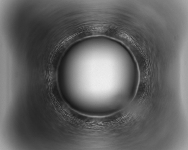 X0000096980773200802081407