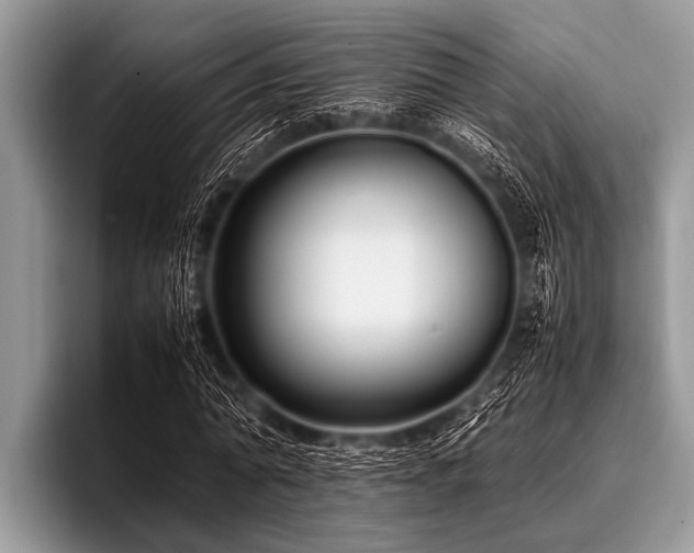 X0000096980774200802081407