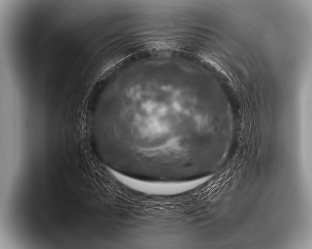 X0000096980775200802081407