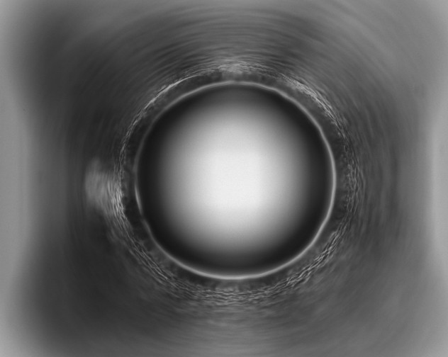 X0000096980776200802081407