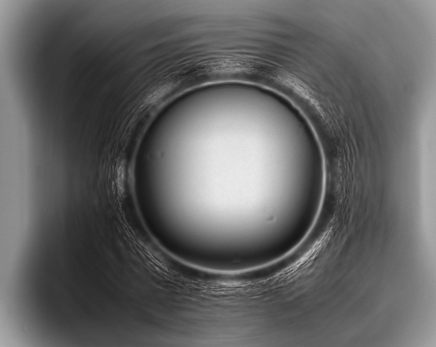 X0000096980777200802081406