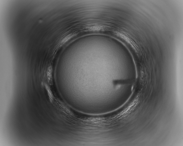 X0000096980778200802081406