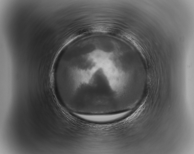 X0000096980779200802081406