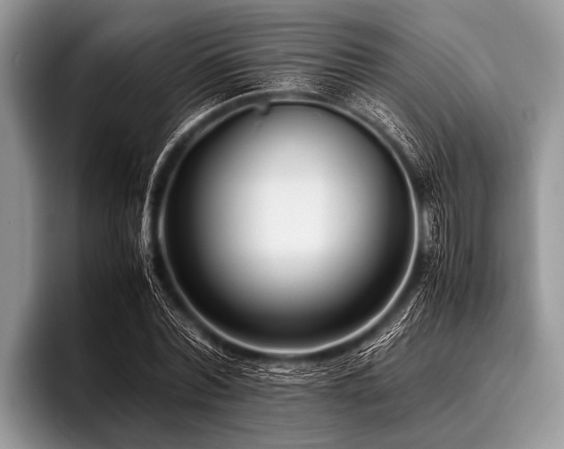 X0000096980780200802081406